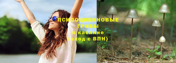 СК Бронницы