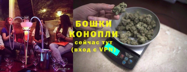 СК Бронницы