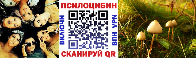 Галлюциногенные грибы ЛСД  как найти закладки  Железноводск 
